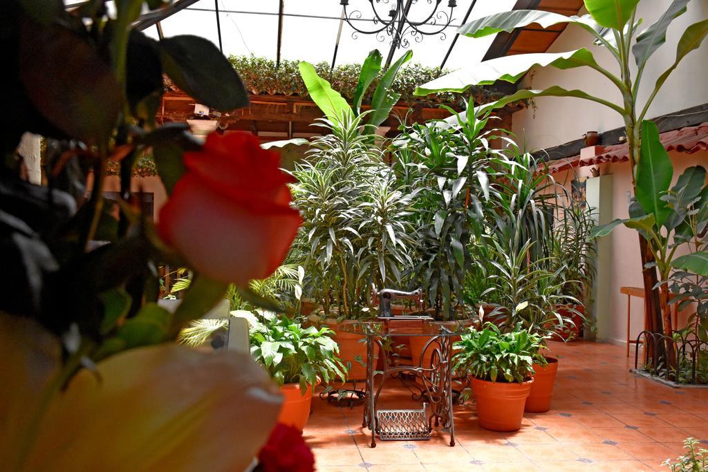 Hotel San Luis ซานกริสโตบัล เด ลาสกาซาส ภายนอก รูปภาพ